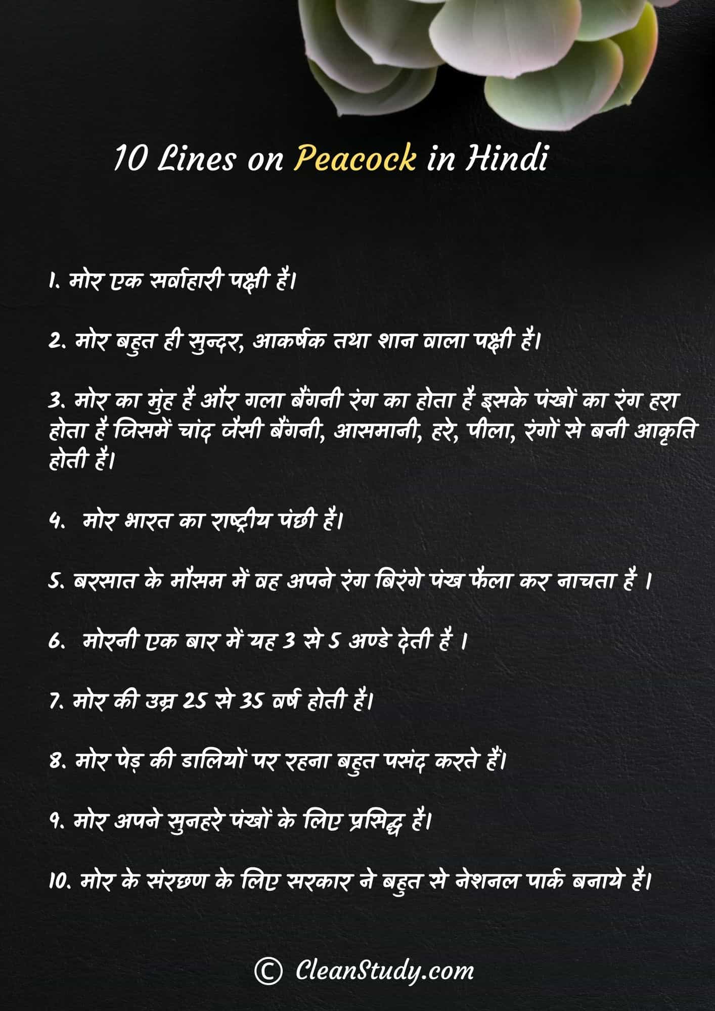 10-lines-on-peacock-in-hindi-cleanstudy