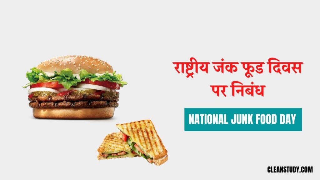 essay on national junk food
