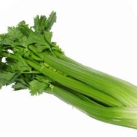 celery-vegetable
