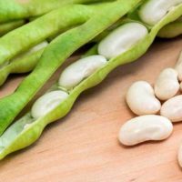 white-Kidney-beans