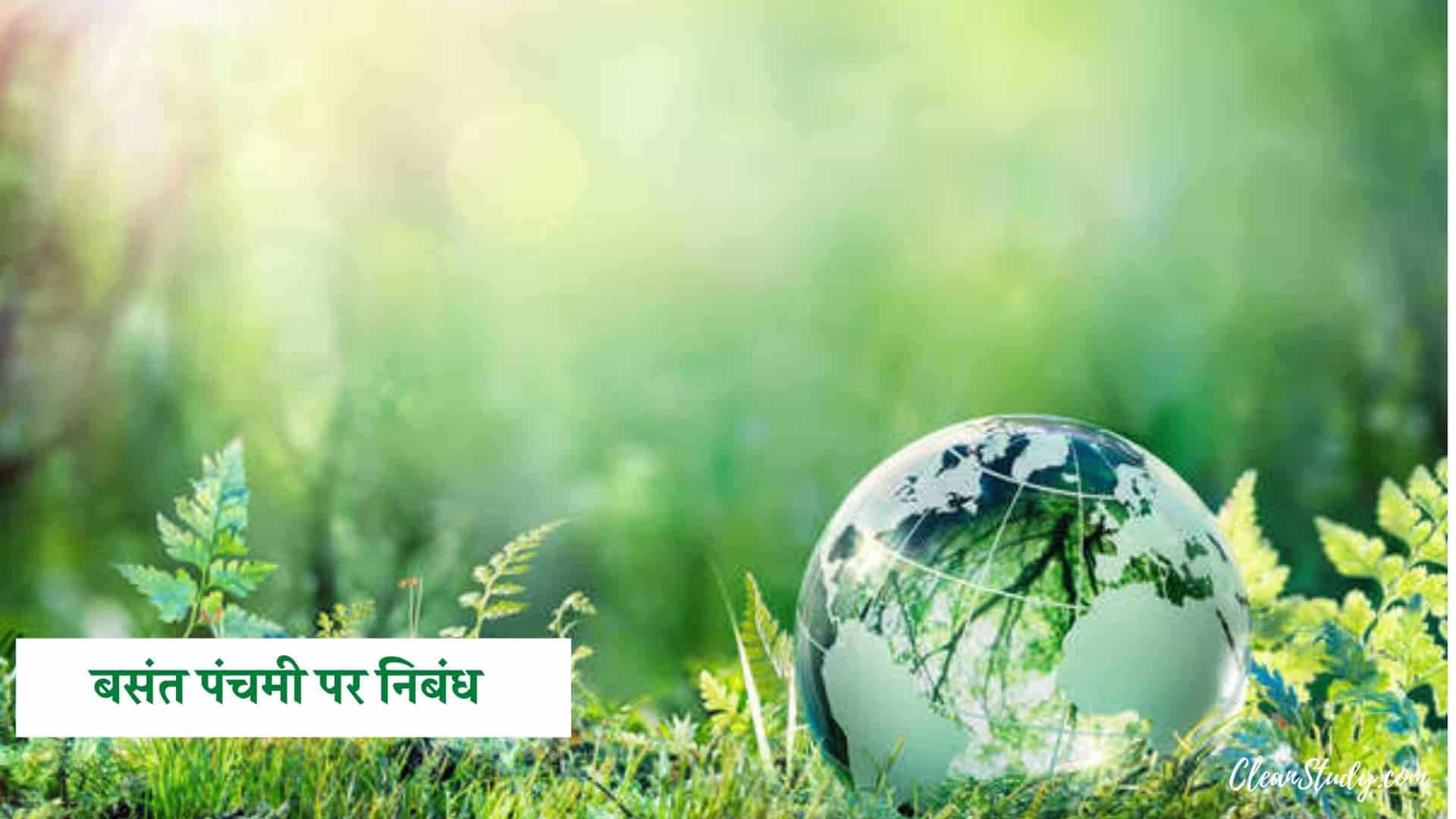 Essay on basant panchami in english for class 7 07 picture