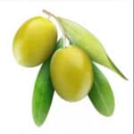 Olive-Fruit