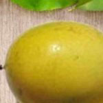 Voavanga-Fruits