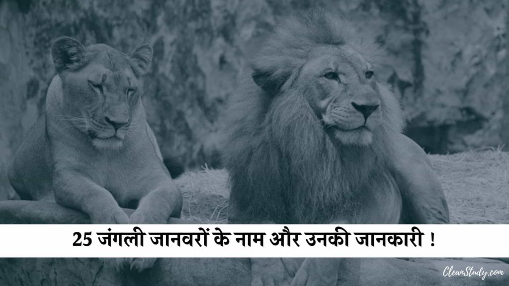 25 जंगली जानवरों के नाम - Wild Animals Name in Hindi