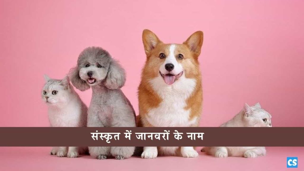 animals name in sanskrit