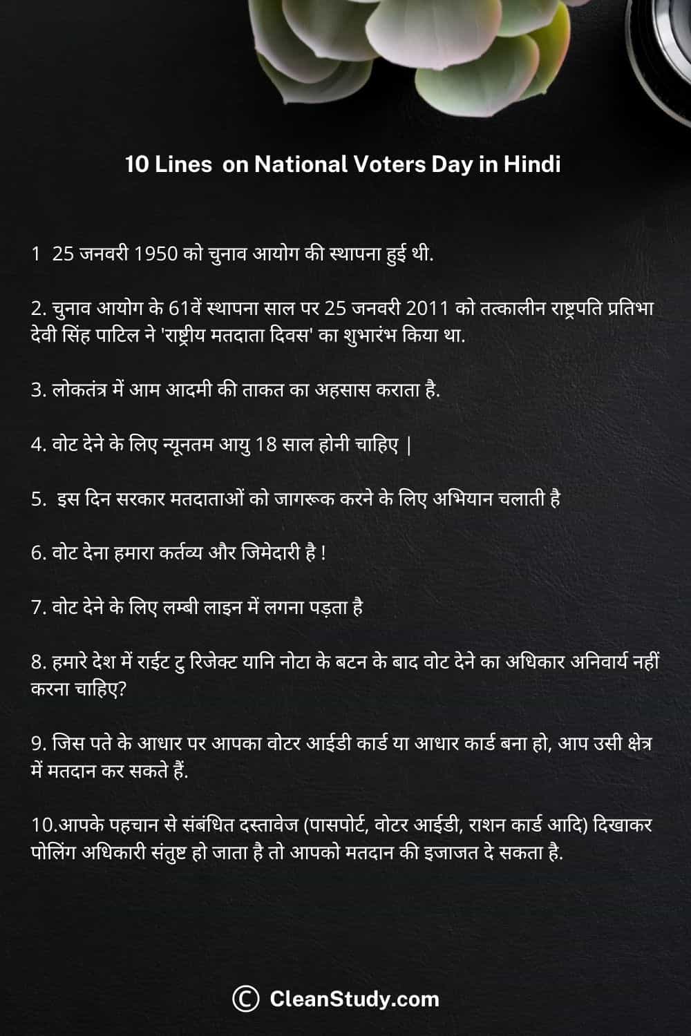 right to vote essay in hindi