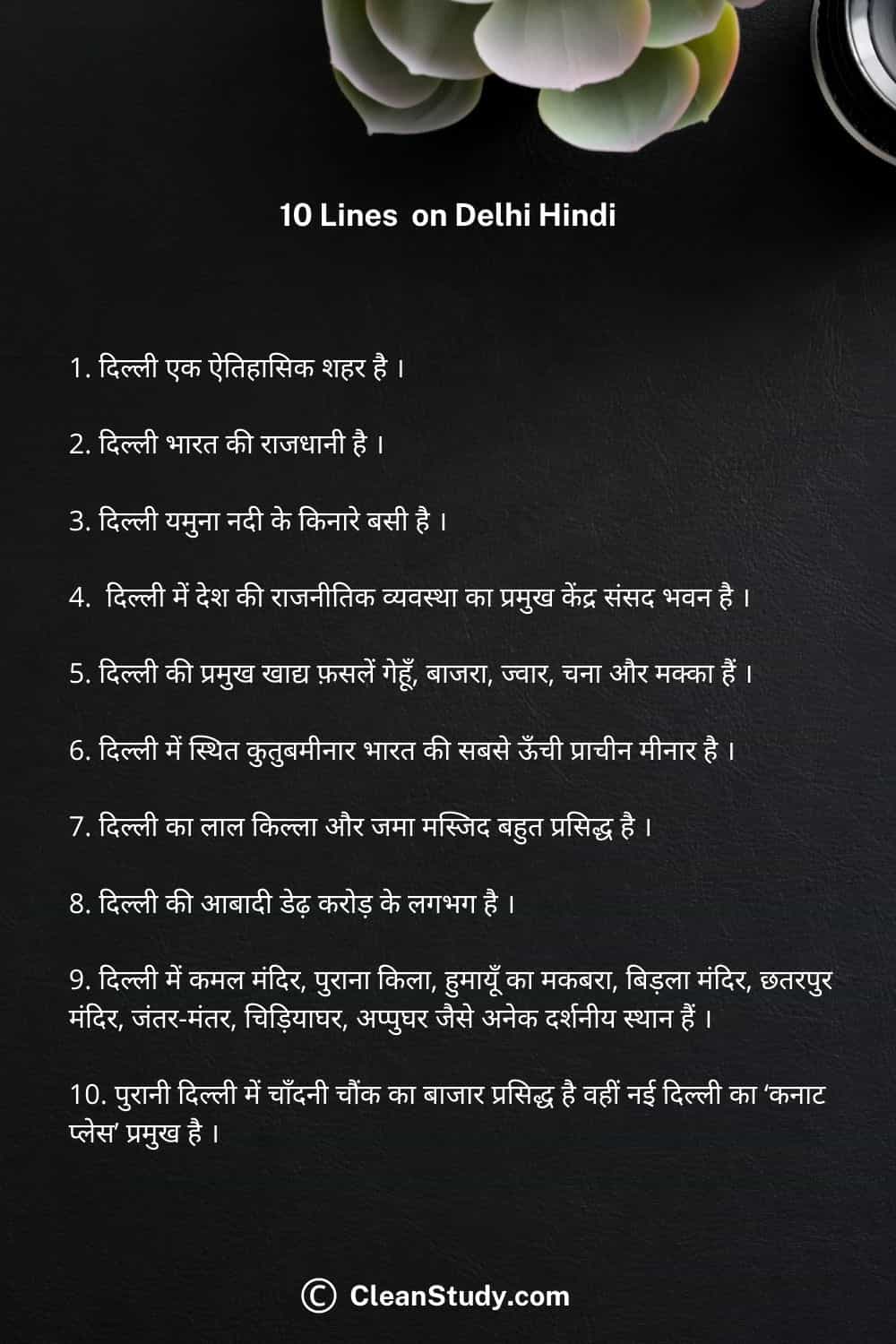 10 lines delhi in hindi