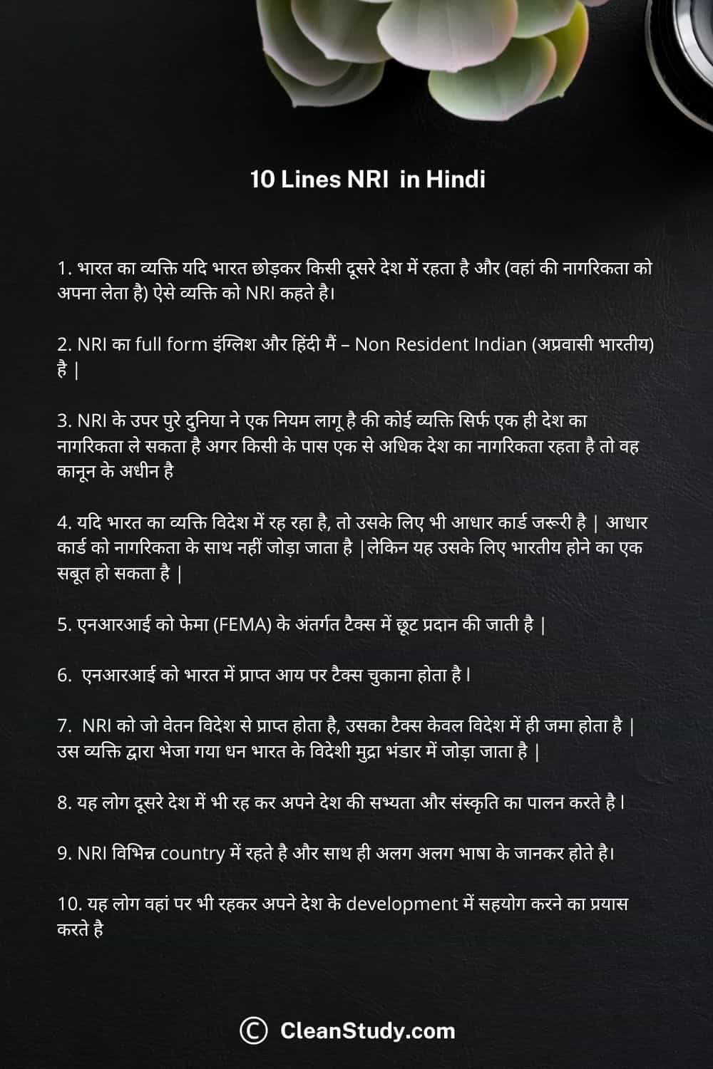10 Lines on NRI in Hindi 