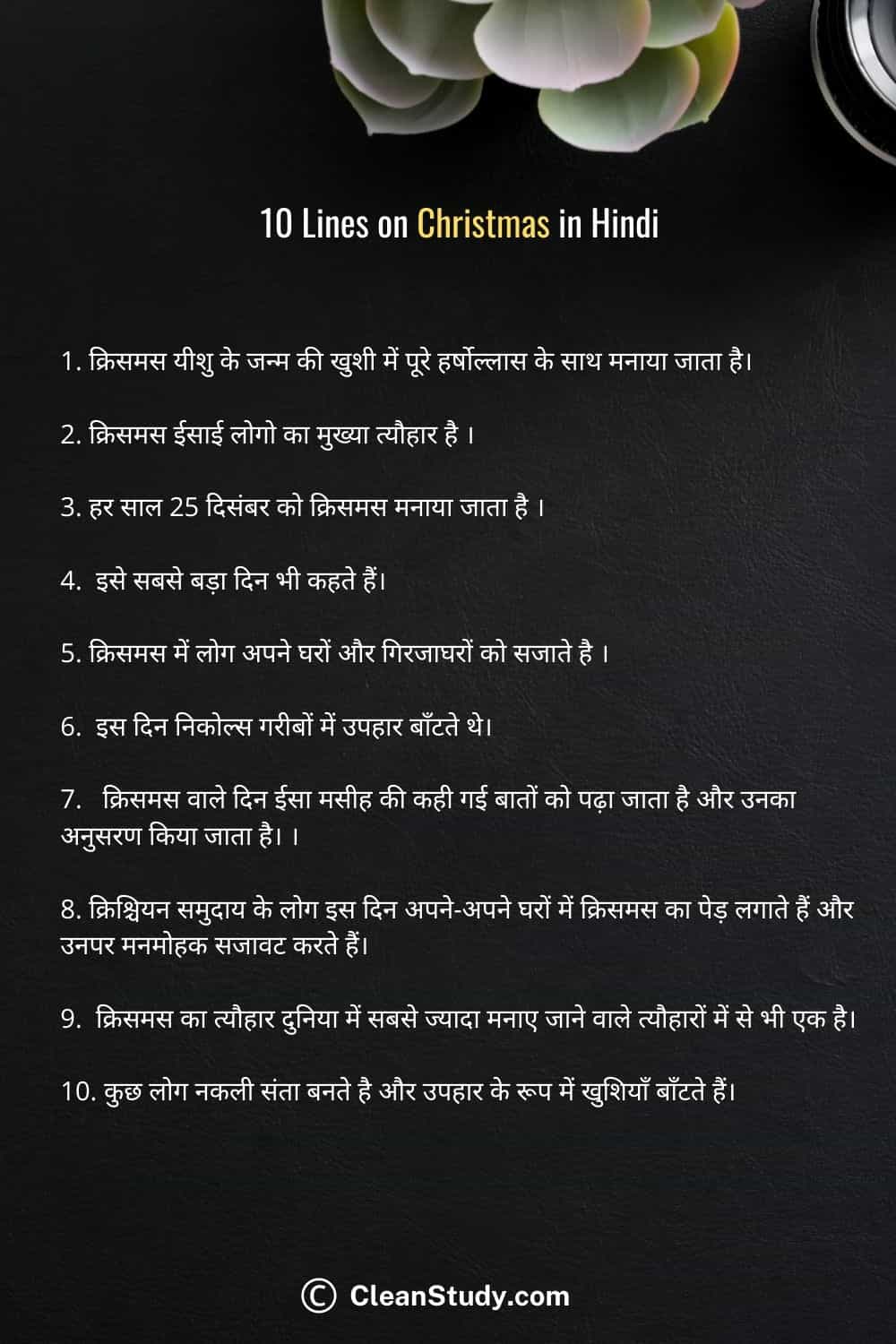 10 Lines on Christmas  in Hindi