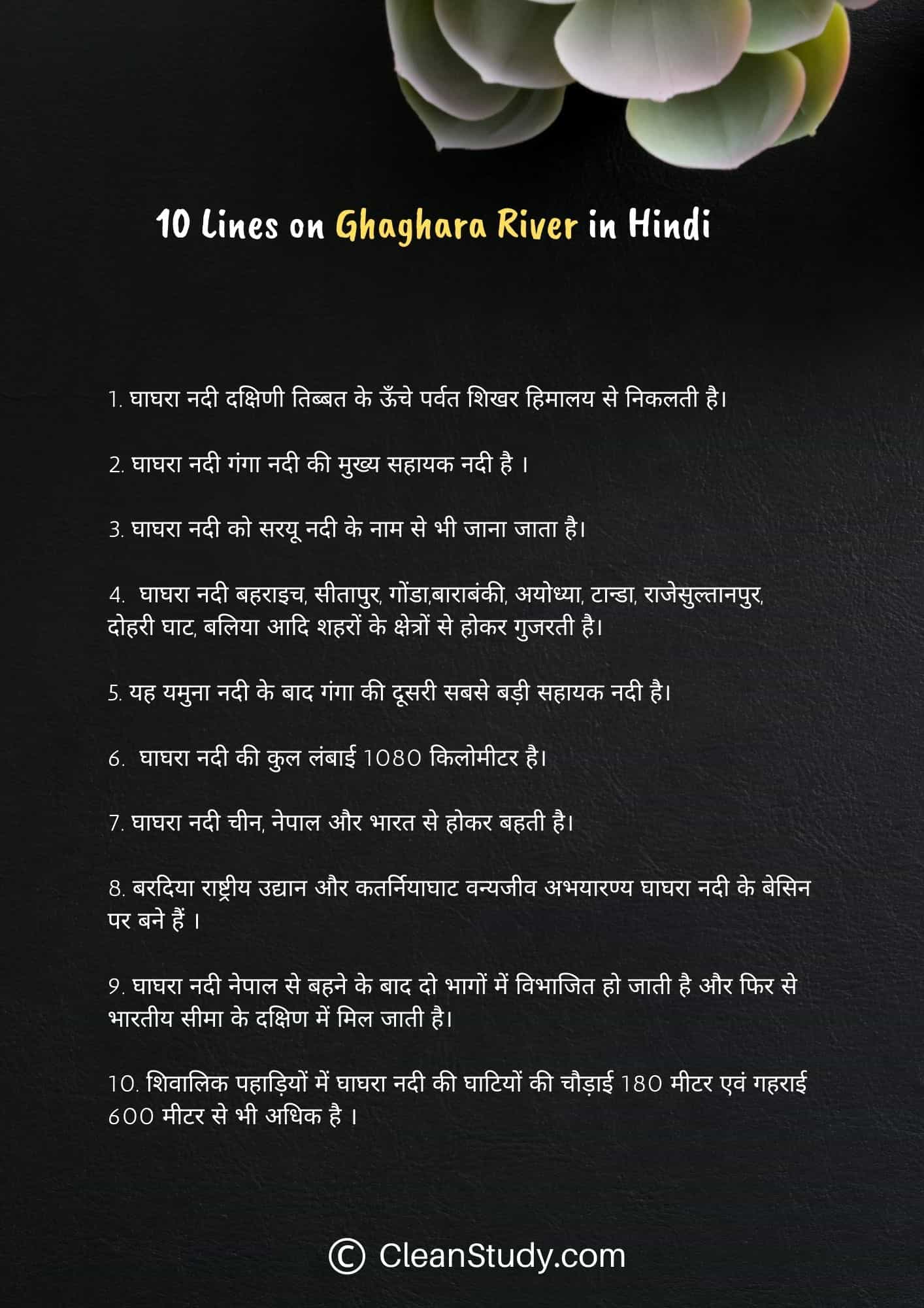 10 Lines on Ghaghara River in Hindi