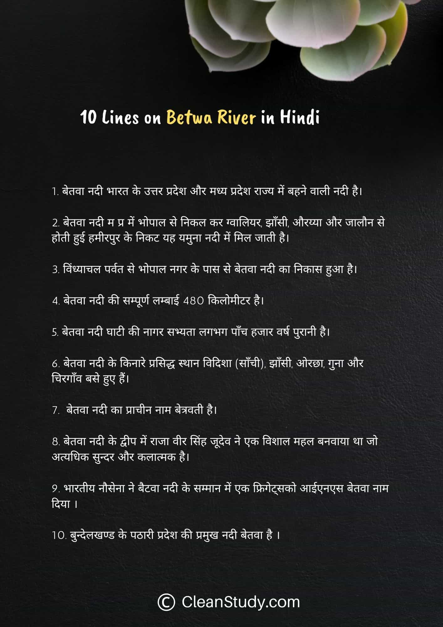 10 Lines on Betwa River in Hindi