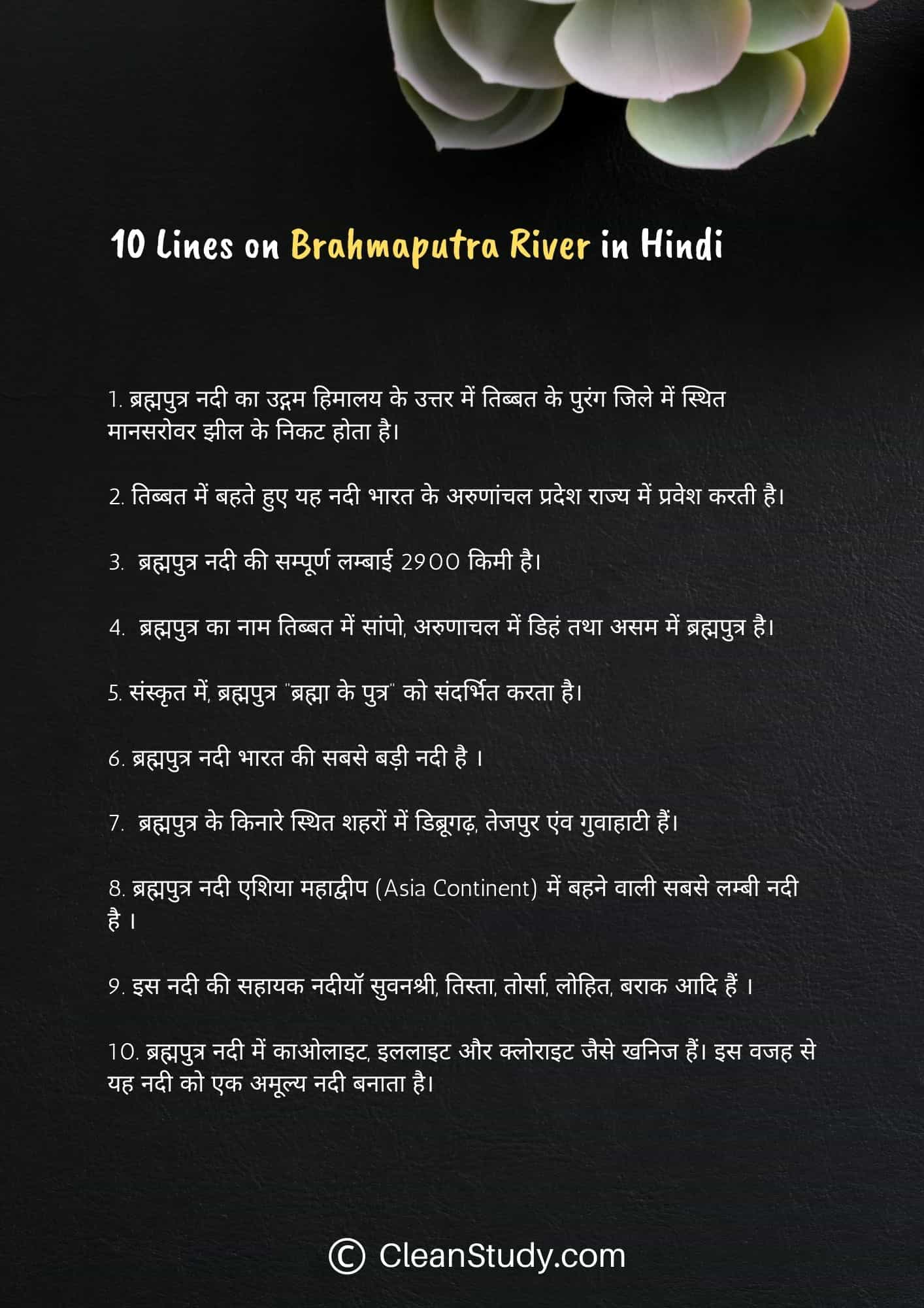 10 Lines on Brahmaputra River in Hindi