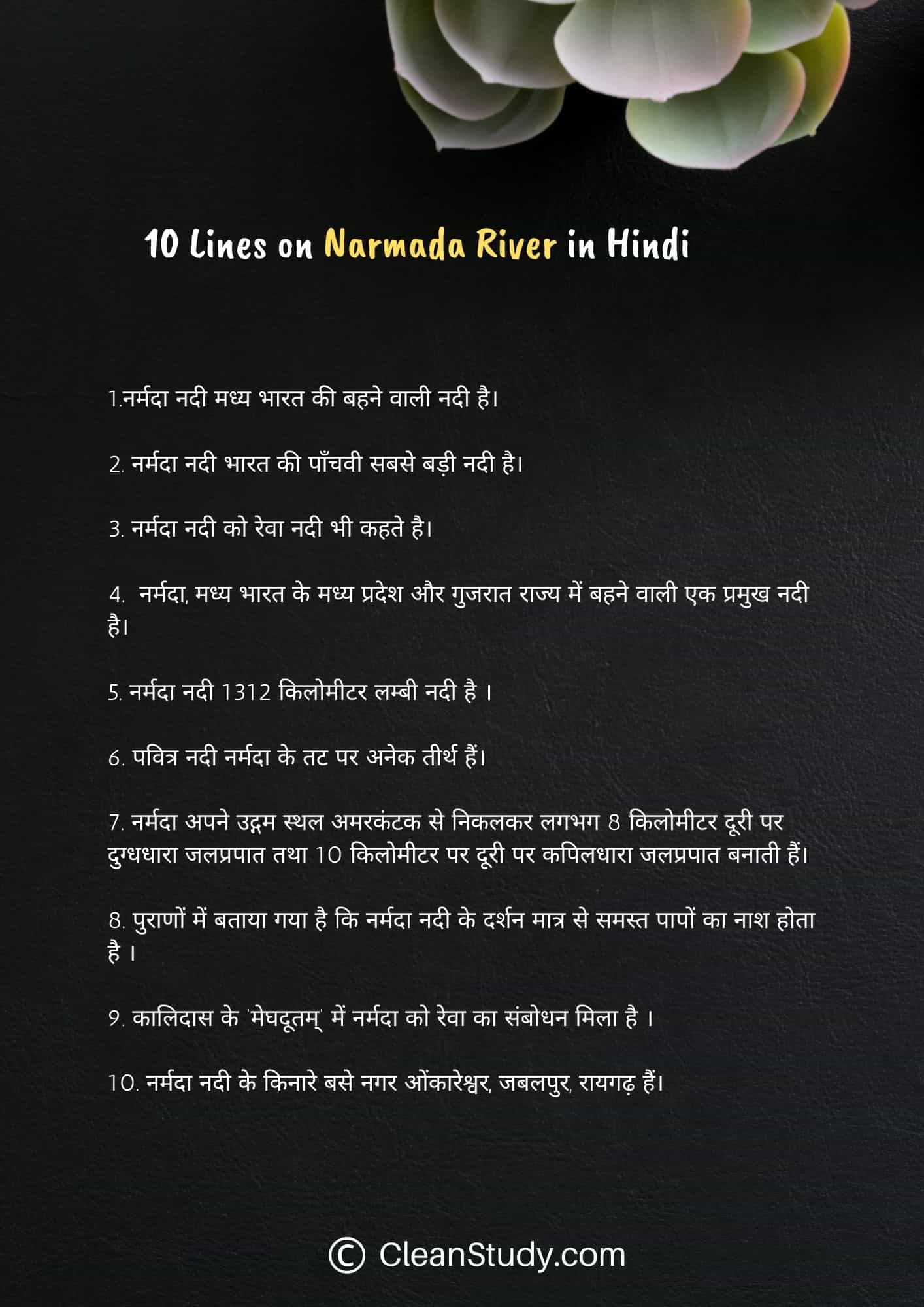 10 Lines on Narmada River in Hindi