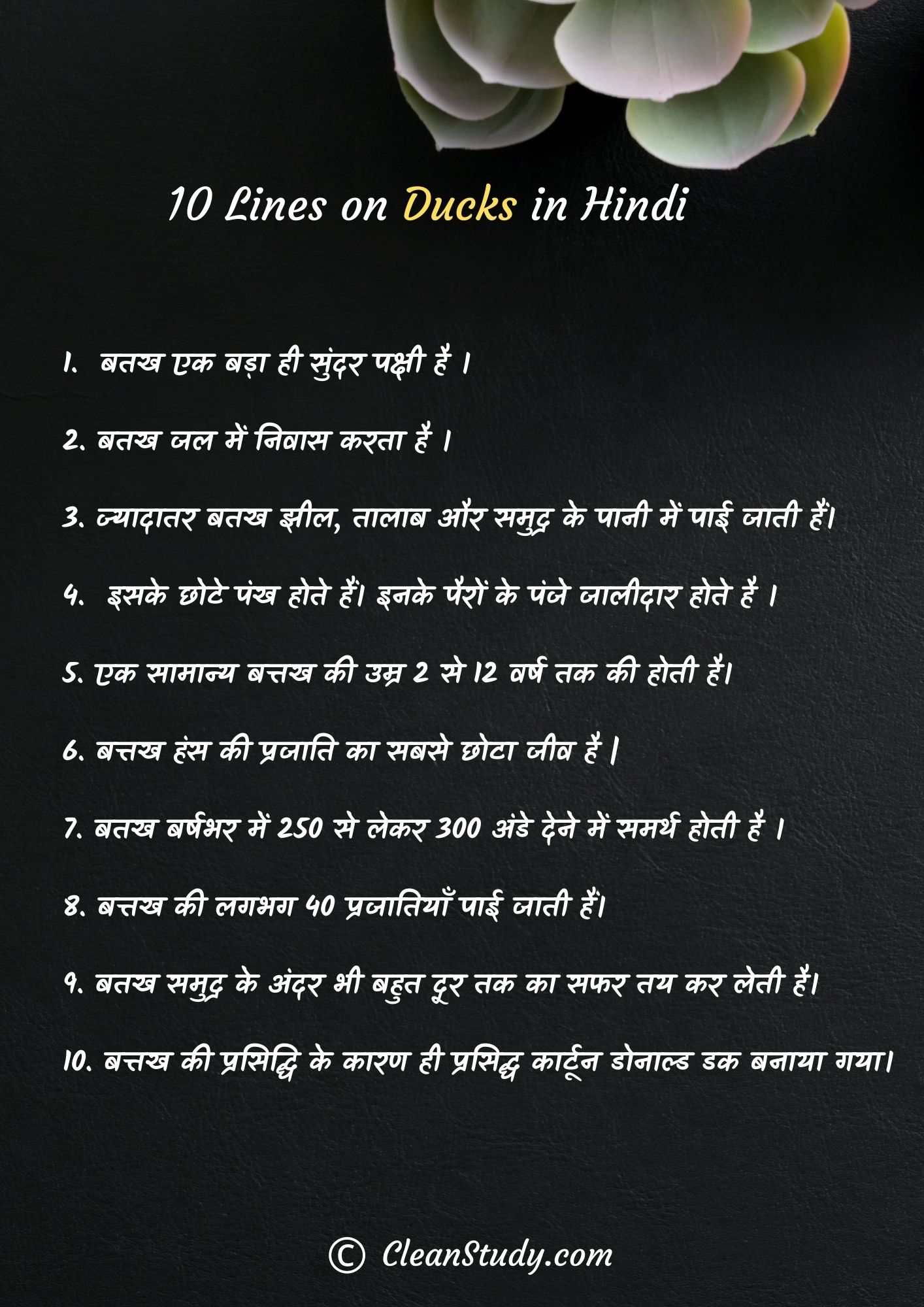 10 Lines on Ducks in Hindi