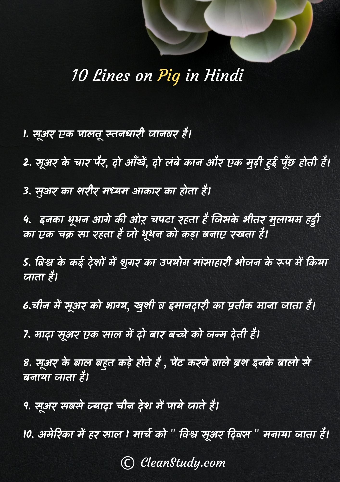 10 Lines on Pig in Hindi