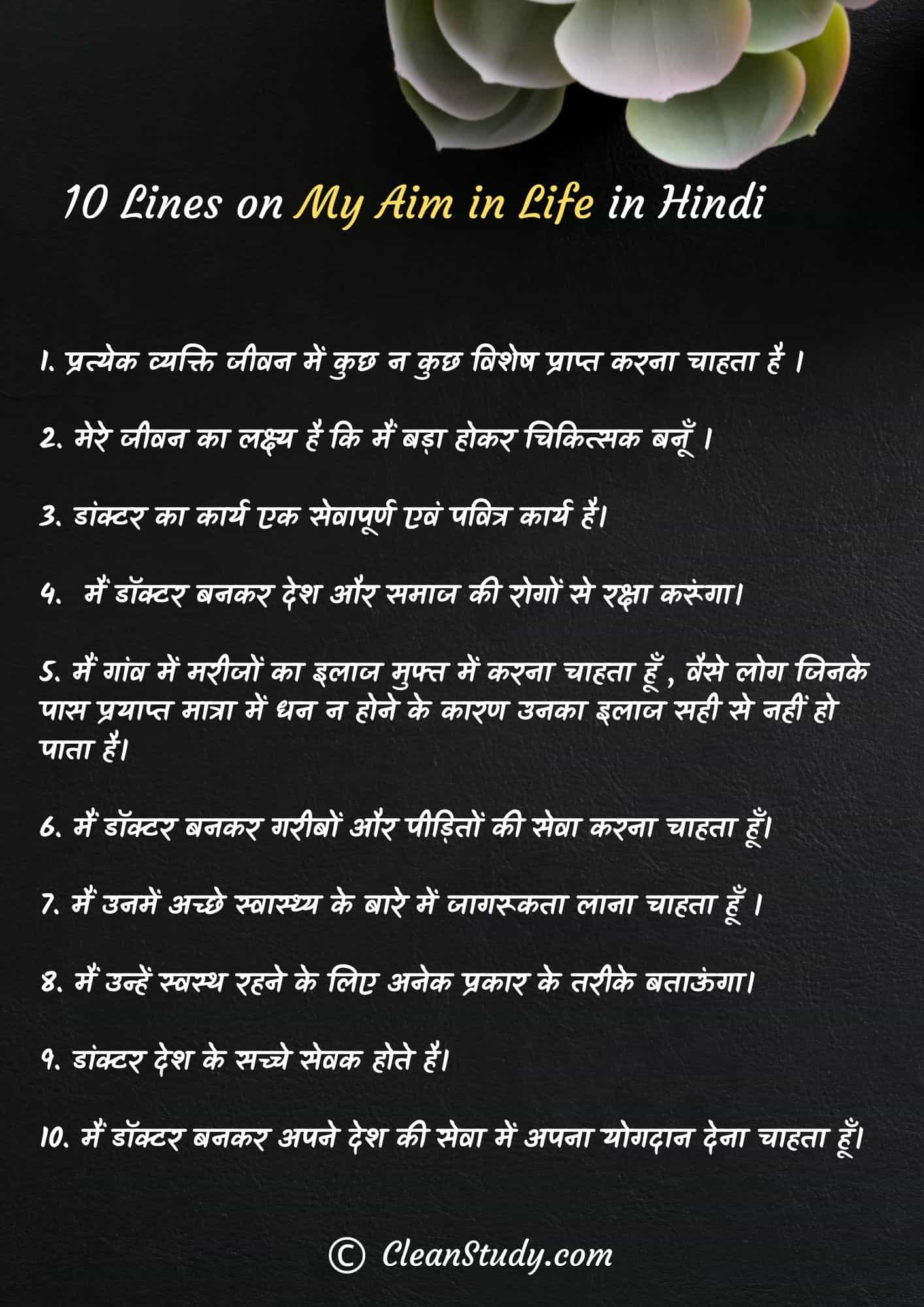 an essay in hindi on my aim in life