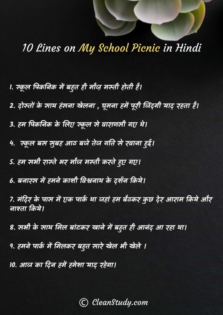 write an essay on my school picnic in hindi