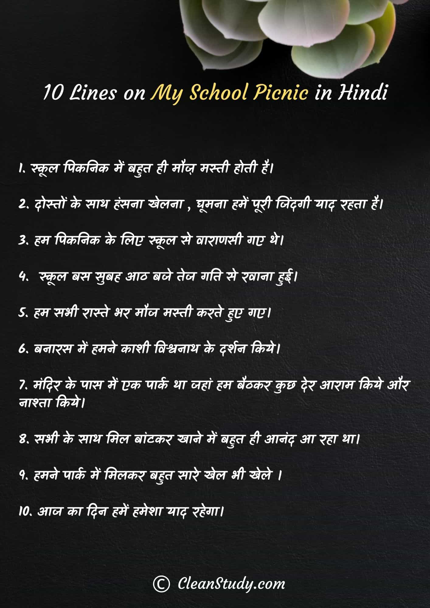 10 Lines on My School Picnic in Hindi