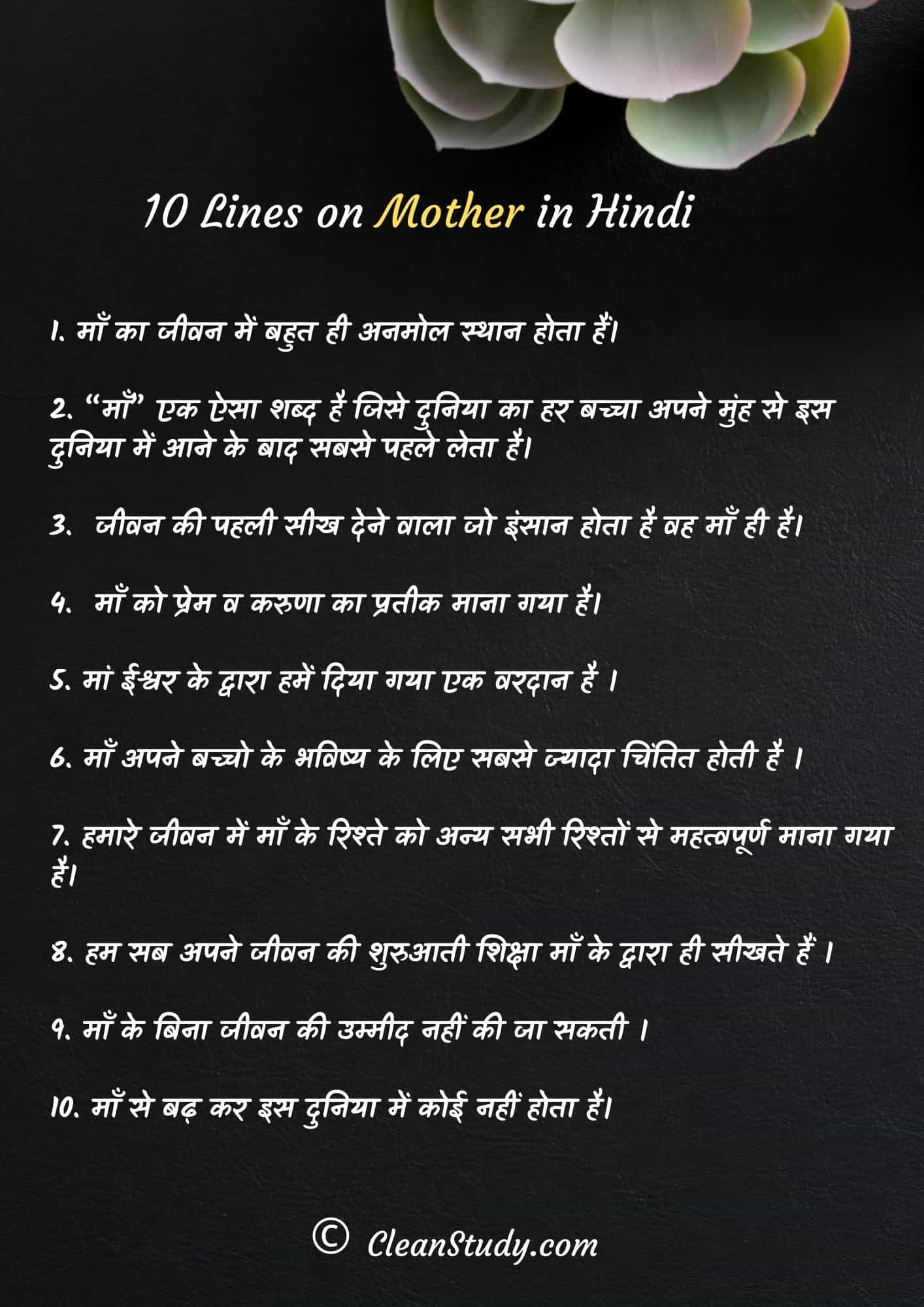 short essay on mother in hindi