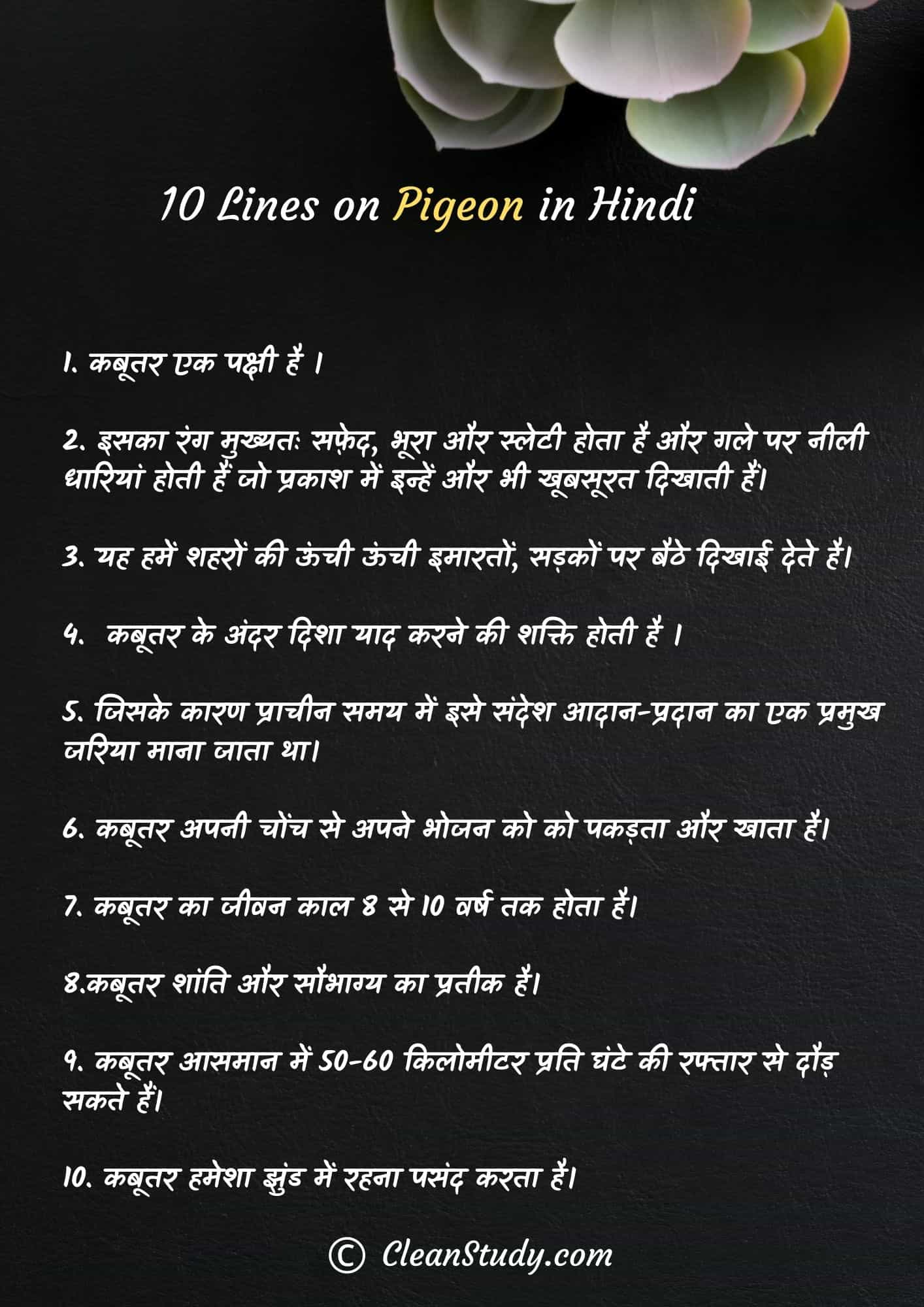 10 Lines on Pigeon in Hindi