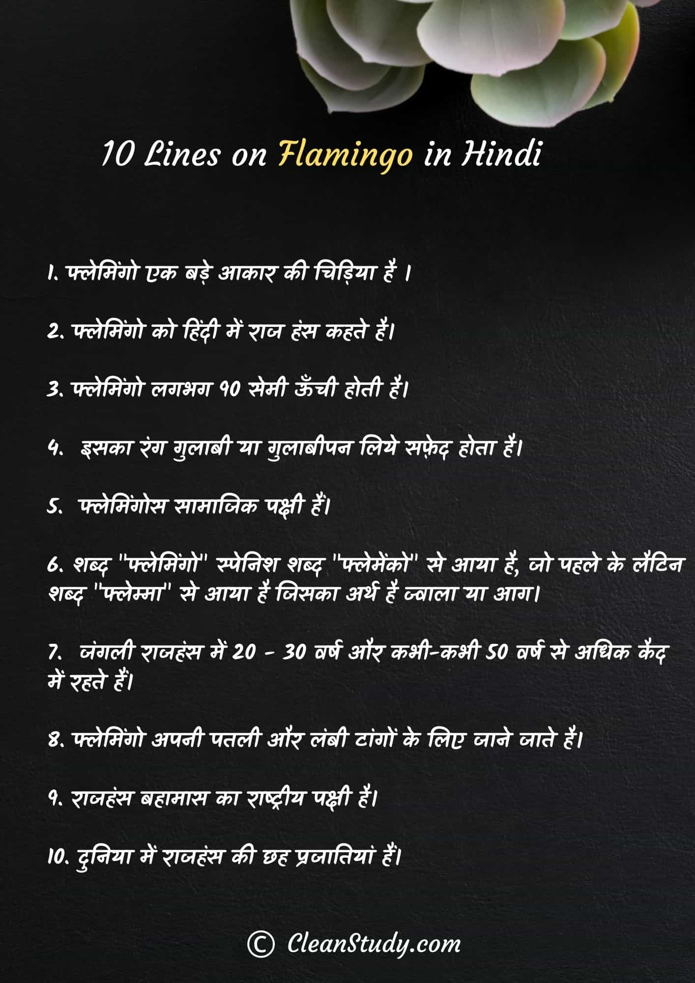 10 Lines on Flamingo in Hindi