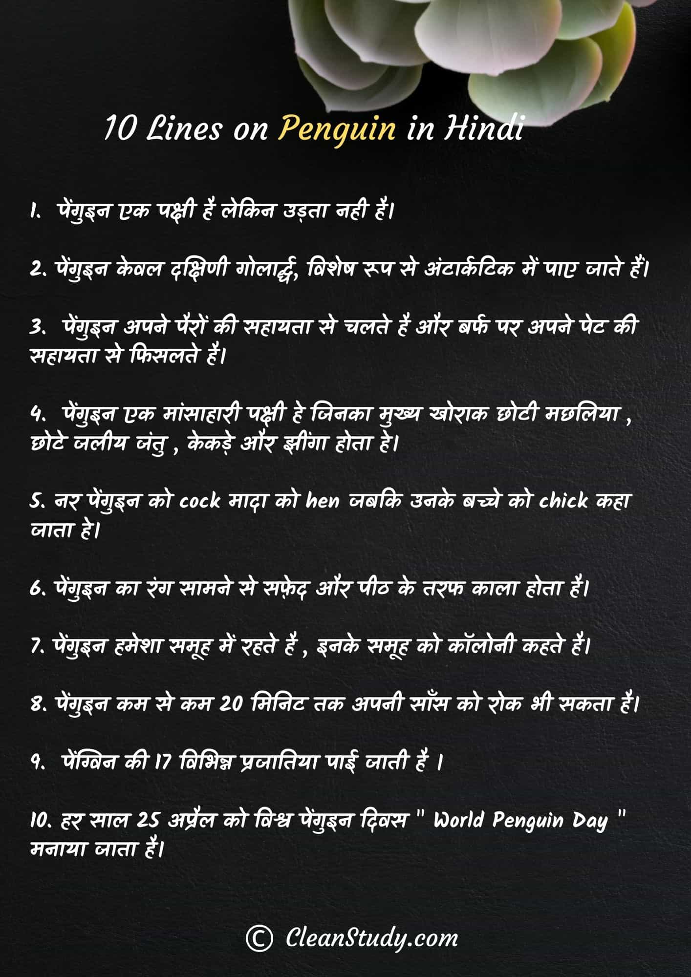 10 Lines on Penguin in Hindi
