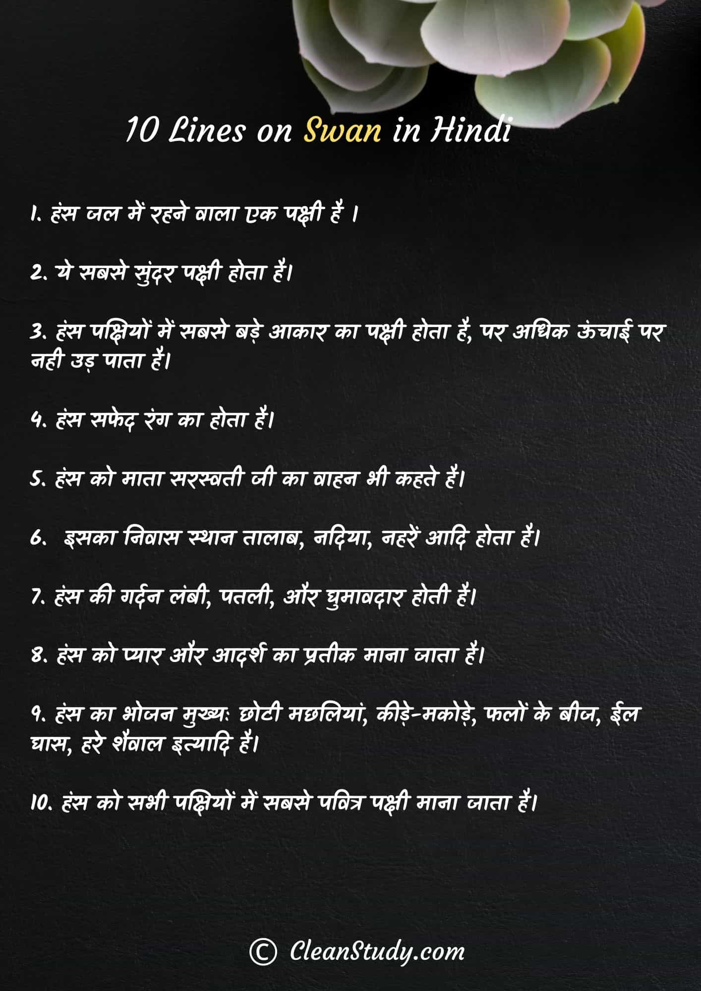 10 Lines on Swan in Hindi