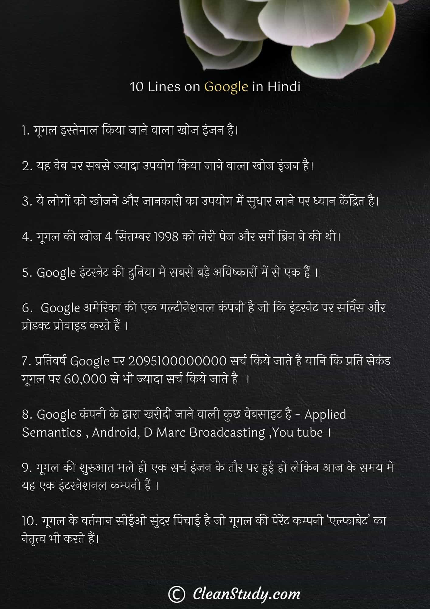 10 Lines on Google in Hindi