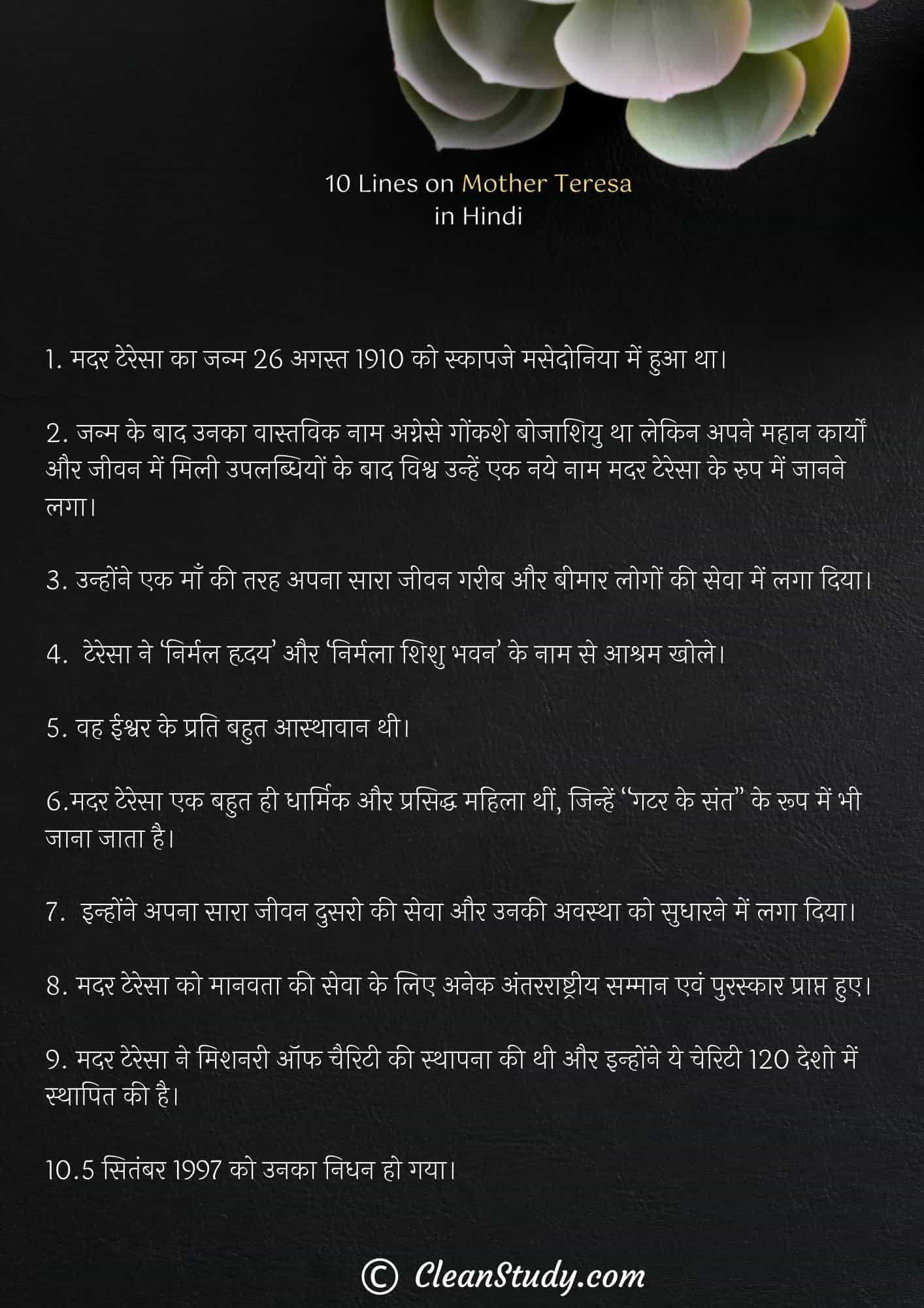 10 Lines on Mother Teresa in Hindi