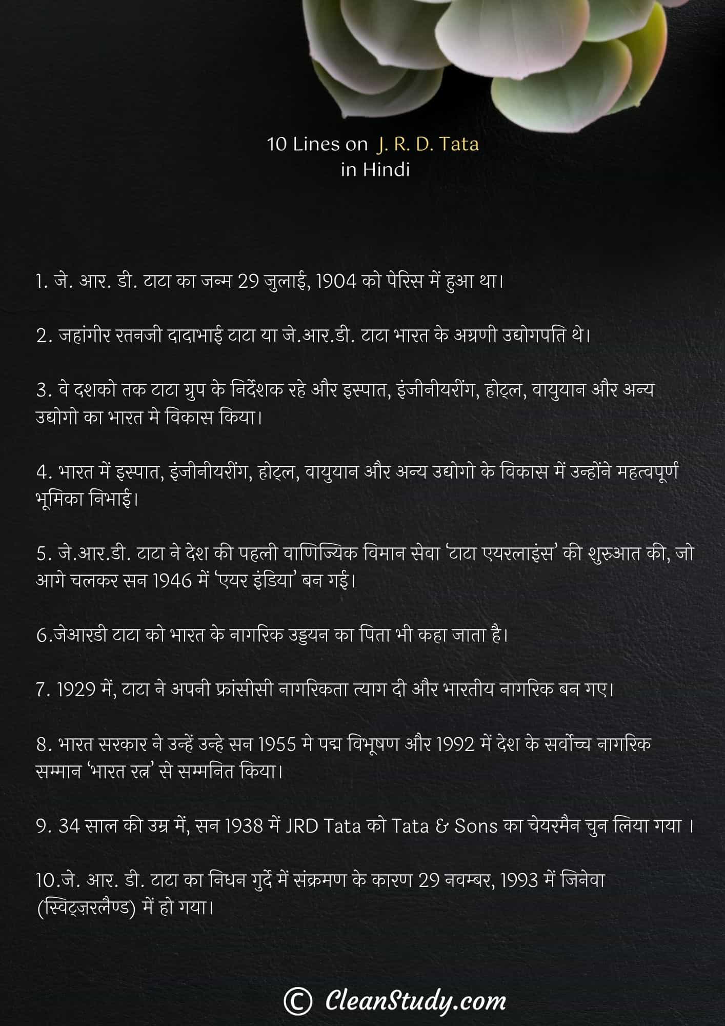 10 Lines on J. R. D. Tata in Hindi