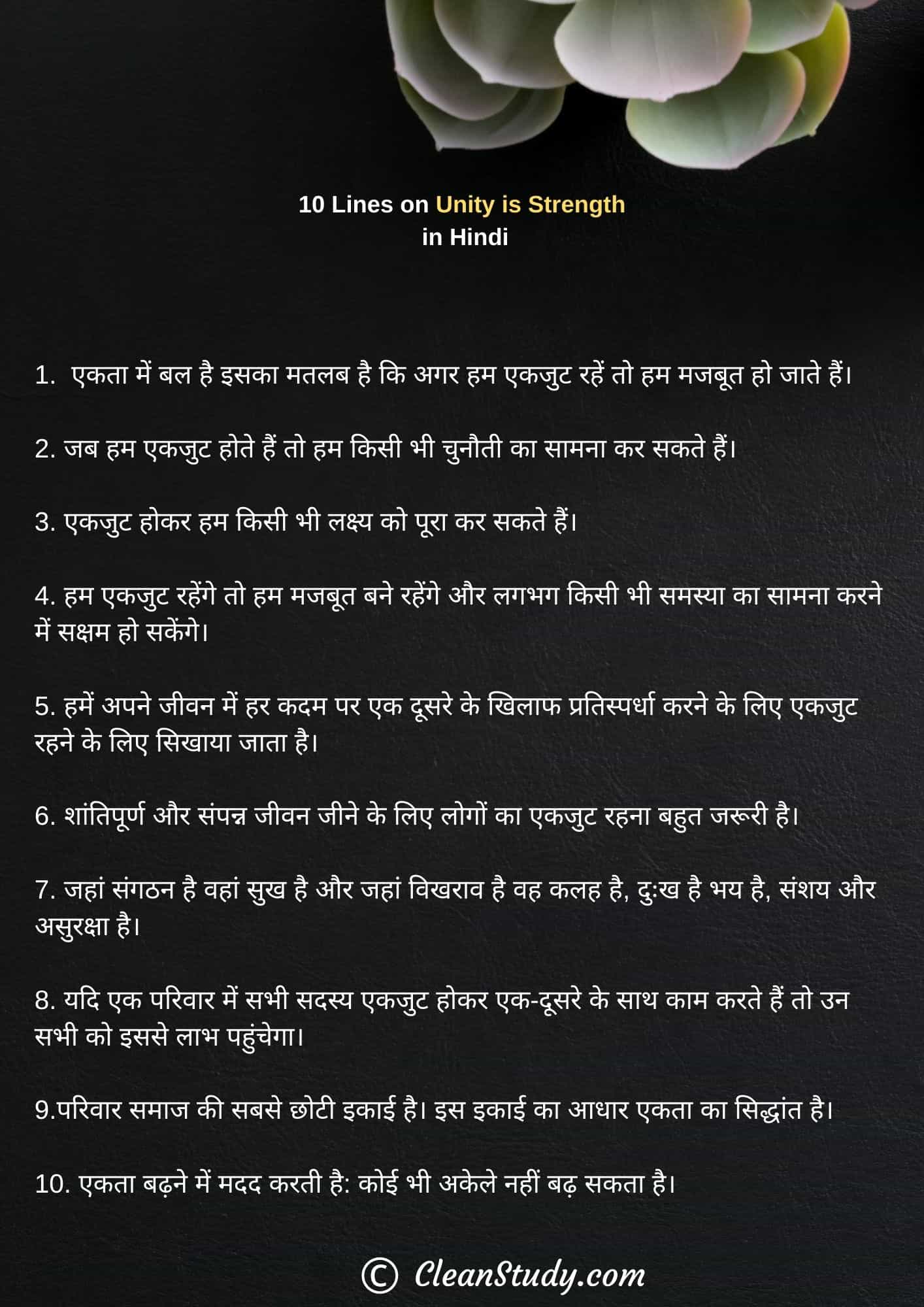 10 Lines on Unity is Strength in Hindi
